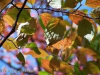 A148 Drakes Creek Rd, Jim Thorpe, PA 18229