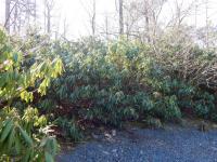 10 Brookside Drive, Pocono Pines, PA 18350