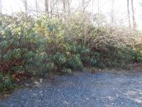 10 Brookside Drive, Pocono Pines, PA 18350