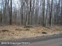 153 Skippack Ct, Pocono Lake, PA 18347