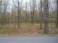 Hawthorne Dr, Jim Thorpe, PA 18229