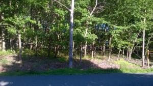 218 Shenandoah Trl-lot 157, Effort, PA 18330