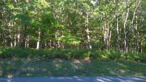 218 Shenandoah Trl-lot 159, Effort, PA 18330