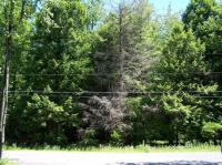 17 George Dr, Blakeslee, PA 18610