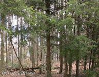 48 Mccauley Avenue, Pocono Pines, PA 18350