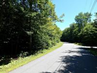 41 Buckskin Way, Pocono Pines, PA 18350