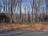 Lot H12 Wolf Hollow Rd, Lake Harmony, PA 18624