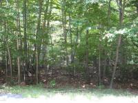 1806 White Pine (hemlock) Drive, Pocono Lake, PA 18347