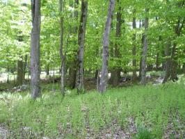 614 Fawn Road, Pocono Lake, PA 18347