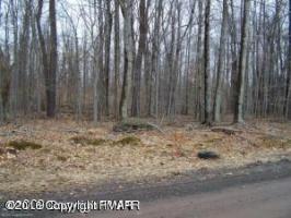 3-2101-21 Maxatawny Dr, Pocono Lake, PA 18347