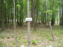 8 Wild Pines, Pocono Pines, PA 18350