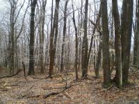 2110 Ridge Road, Pocono Lake, PA 18347