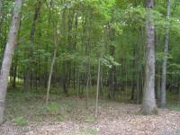75 Dew Drop Dr, Jim Thorpe, PA 18229