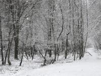 1102 Snowshoe Ln, Albrightsville, PA 18210