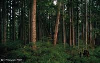 Lot 1433 Deer View Dr, Jim Thorpe, PA 18229