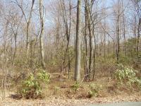 27 Wolf Hollow Rd, Lake Harmony, PA 18624