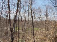 28 Wolf Hollow Rd, Lake Harmony, PA 18624