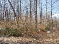 31 Wolf Hollow Rd, Lake Harmony, PA 18624