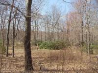 38 Crosshill Rd, Lake Harmony, PA 18624