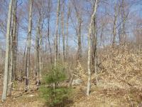 5 Kent Clark Rd, Lake Harmony, PA 18624