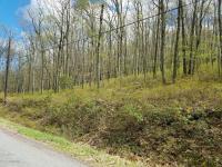 1212/1210 Woodhaven Dr, White Haven, PA 18661