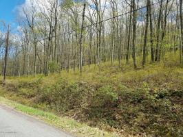 1212/1210 Woodhaven Dr, White Haven, PA 18661