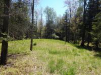 508 Spruce Ct, Pocono Lake, PA 18347