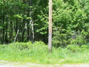 want to build your dream home ACROSS THE STREET from the lake?  Call Arlene and Neal to show you this parcel