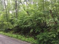 W Mountaintop Rd, Summit Hill, PA 18250