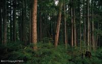 Lot 2 Mountain Terrace, White Haven, PA 18661