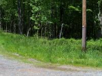 2 Lake Shore Drive, Pocono Lake, PA 18347