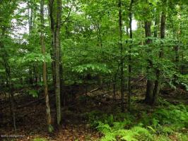811 Maple Dr, Pocono Lake, PA 18347