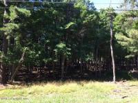 Pineknoll Dr, Lake Harmony, PA 18624