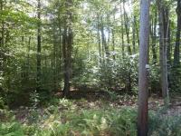 116 Blue Spruce Cresent, Pocono Pines, PA 18350