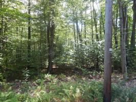 116 Blue Spruce Cresent, Pocono Pines, PA 18350