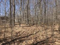 104 Mineola Cir, Pocono Lake, PA 18347