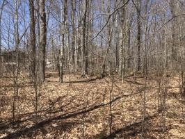 104 Mineola Cir, Pocono Lake, PA 18347