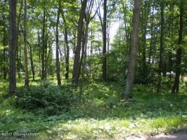 1510 Tommy's Lane, Pocono Lake, PA 18347