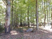 5 Mccauley Ave, Pocono Pines, PA 18350