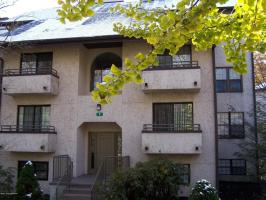 7 Unit 302 Midlake Dr, Lake Harmony, PA 18624