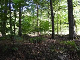 163-165 W Alwada Rd, Greentown, PA 18426