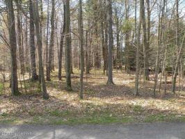 17 Woodbury Dr, Blakeslee, PA 18610