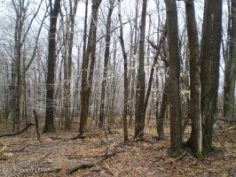 924 Mountain View Drive, Pocono Lake, PA 18347