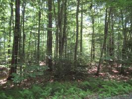 Lot 9 Laurette Dr, Albrightsville, PA 12864