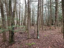 24 N Lehigh Gorge Dr, White Haven, PA 18661