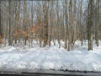 14/15 E Gross Dr 14, Pocono Pines, PA 18350