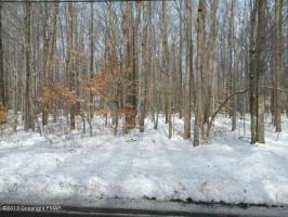 14/15 E Gross Dr 14, Pocono Pines, PA 18350
