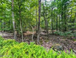 Lot 683 N Paper Birch Tafton, PA 18464