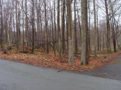 Lot 74 Alder Drive Newfoundland, PA 18445