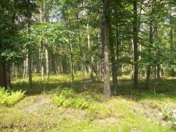 LOT 178A Ridge View Road East Stroudsburg, PA 18302